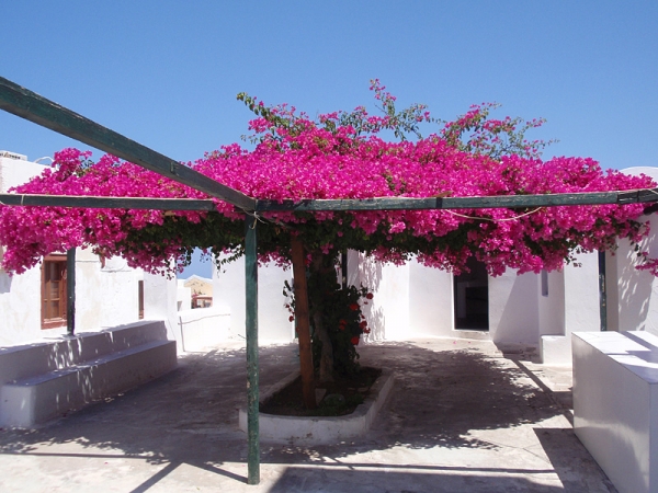Zdjęcie z Grecji - Santorini