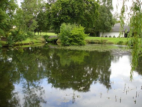 Zdjęcie z Irlandii - OGRODY