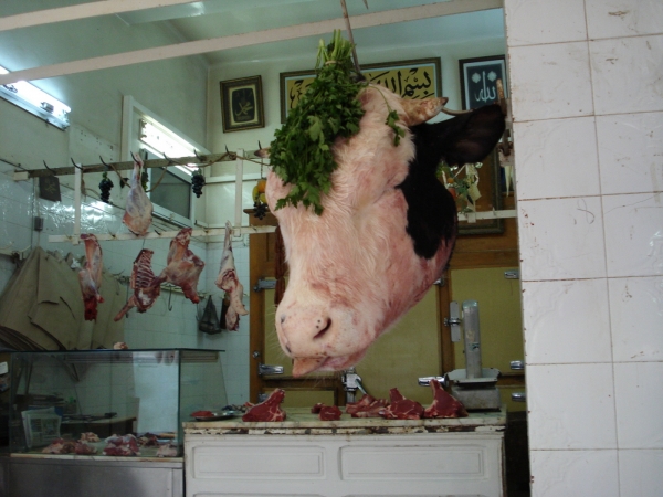 Zdjęcie z Tunezji - 