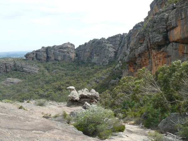 Zdjęcie z Australii - I jeszcze raz The Bird
