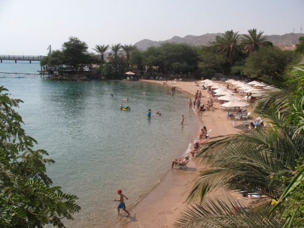 Zdjęcie z Egiptu - Eilat - Rafa z Delfinami