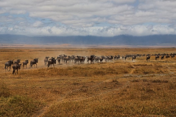 Zdjęcie z Tanzanii - Ngoro Ngoro