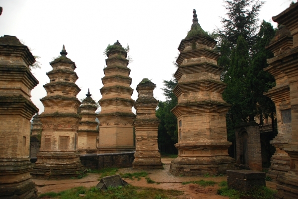 Zdjęcie z Chińskiej Republiki Ludowej - Las stup- Shaolin