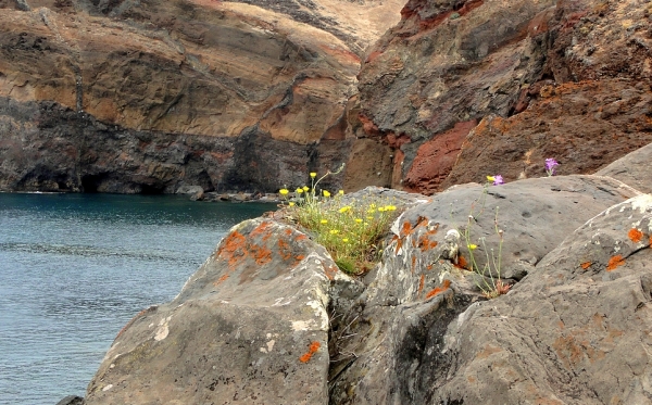 Zdjęcie z Portugalii - Ponta de São Lourenço