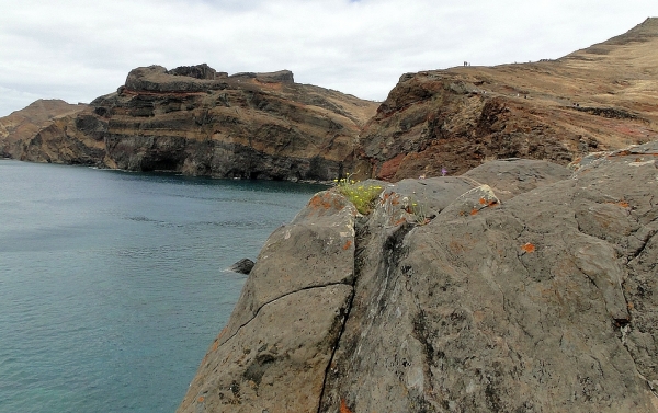 Zdjęcie z Portugalii - Ponta de São Lourenço