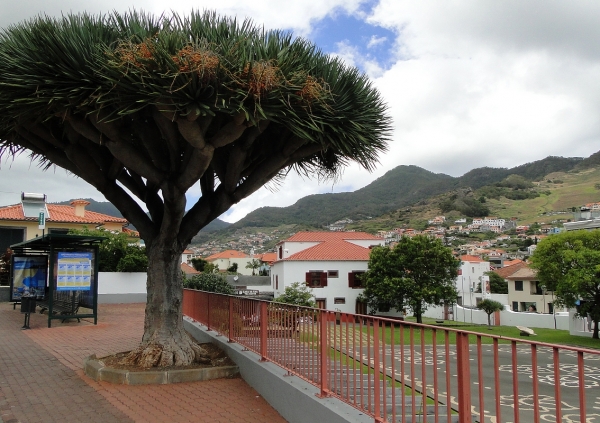 Zdjęcie z Portugalii - Machico