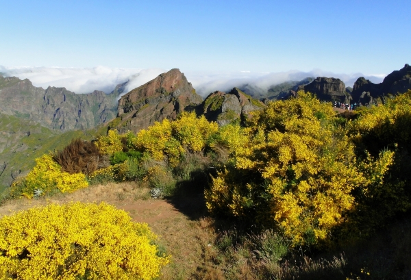 Zdjęcie z Portugalii - Trekking po szczytach Madery