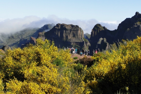 Zdjęcie z Portugalii - Trekking po szczytach Madery