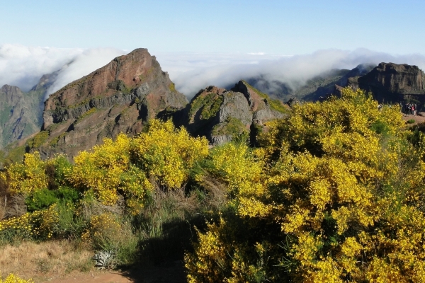 Zdjęcie z Portugalii - Trekking po szczytach Madery