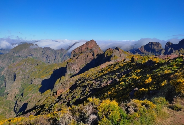 Zdjęcie z Portugalii - Trekking po szczytach Madery