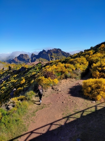 Zdjęcie z Portugalii - Trekking po szczytach Madery