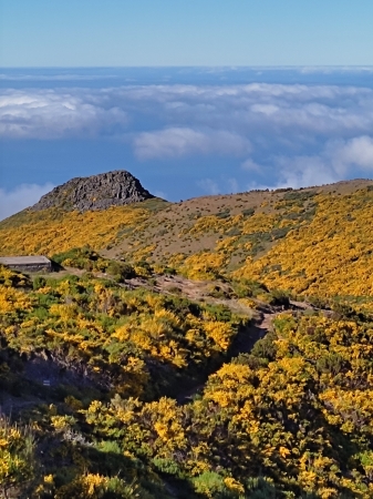 Zdjęcie z Portugalii - Trekking po szczytach Madery