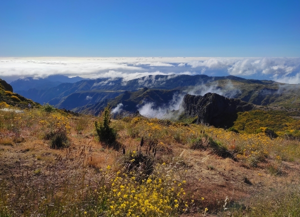Zdjęcie z Portugalii - Trekking po szczytach Madery