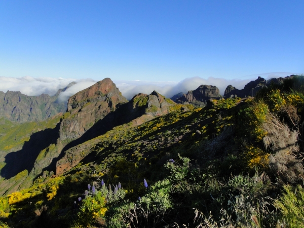 Zdjęcie z Portugalii - Trekking po szczytach Madery