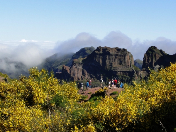 Zdjęcie z Portugalii - Trekking po szczytach Madery