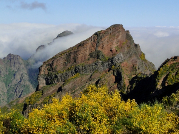 Zdjęcie z Portugalii - Trekking po szczytach Madery