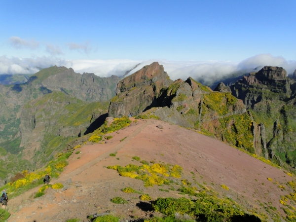 Zdjęcie z Portugalii - Trekking po szczytach Madery