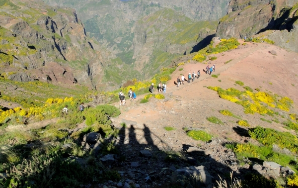 Zdjęcie z Portugalii - Trekking po szczytach Madery