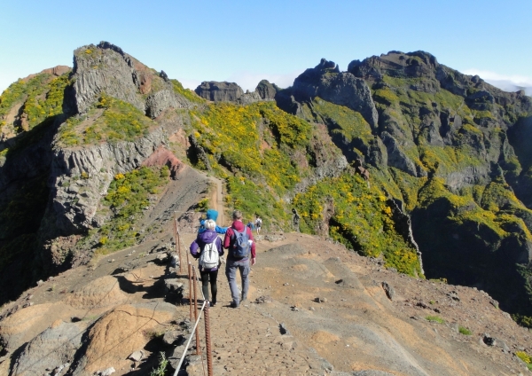 Zdjęcie z Portugalii - Trekking po szczytach Madery