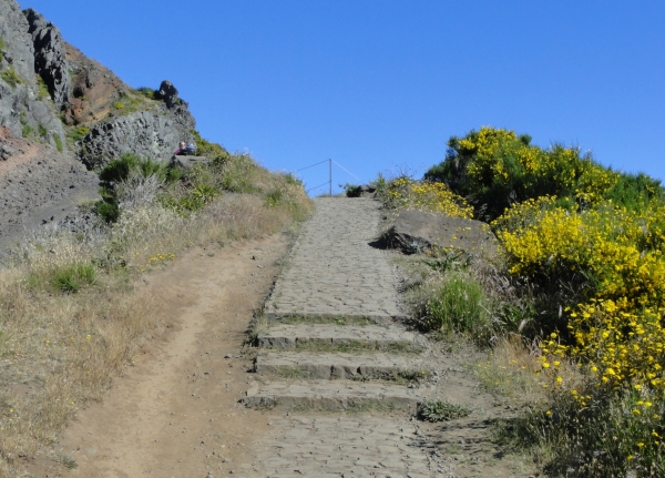Zdjęcie z Portugalii - Trekking po szczytach Madery