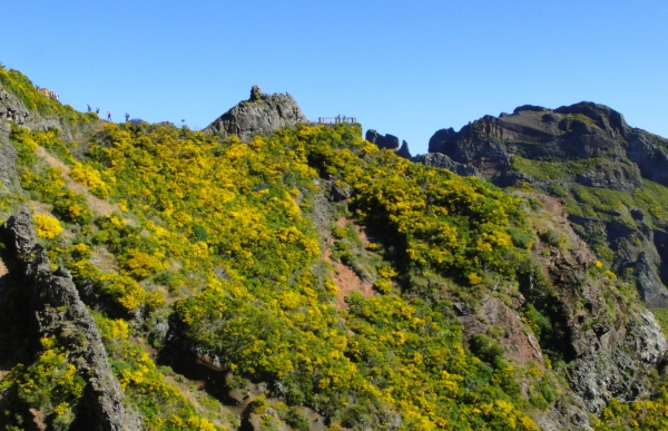 Zdjęcie z Portugalii - Trekking po szczytach Madery