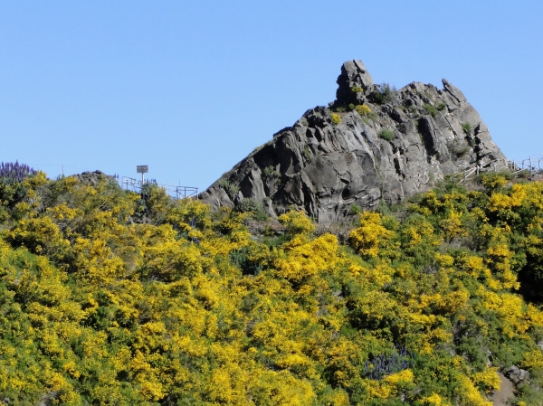 Zdjęcie z Portugalii - Trekking po szczytach Madery