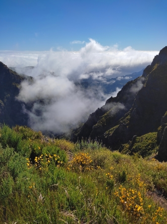 Zdjęcie z Portugalii - Trekking po szczytach Madery