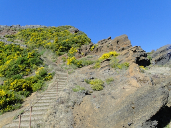 Zdjęcie z Portugalii - Trekking po szczytach Madery