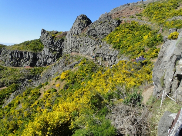 Zdjęcie z Portugalii - Trekking po szczytach Madery