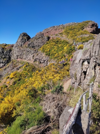 Zdjęcie z Portugalii - Trekking po szczytach Madery