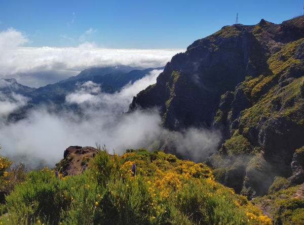 Zdjęcie z Portugalii - Trekking po szczytach Madery