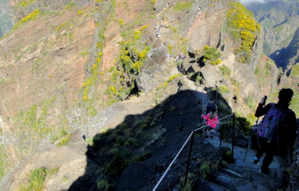 Zdjęcie z Portugalii - Trekking po szczytach Madery
