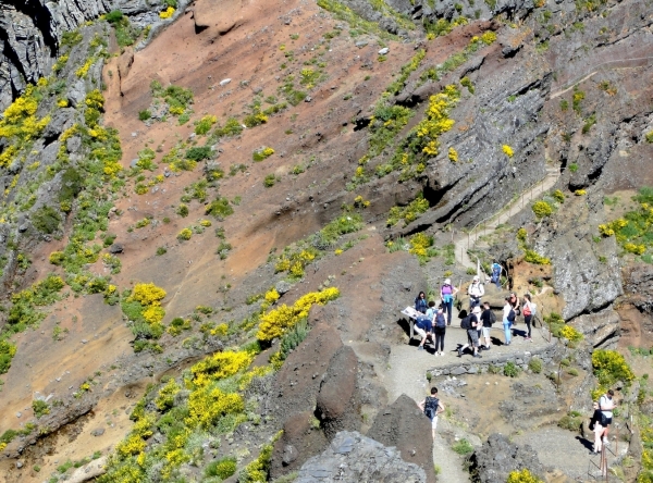 Zdjęcie z Portugalii - Trekking po szczytach Madery