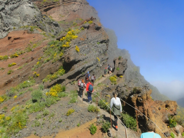 Zdjęcie z Portugalii - Trekking po szczytach Madery