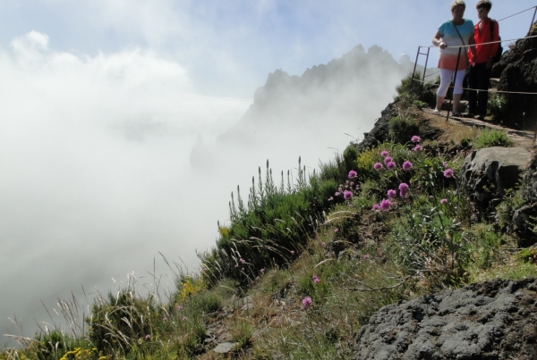 Zdjęcie z Portugalii - Trekking po szczytach Madery