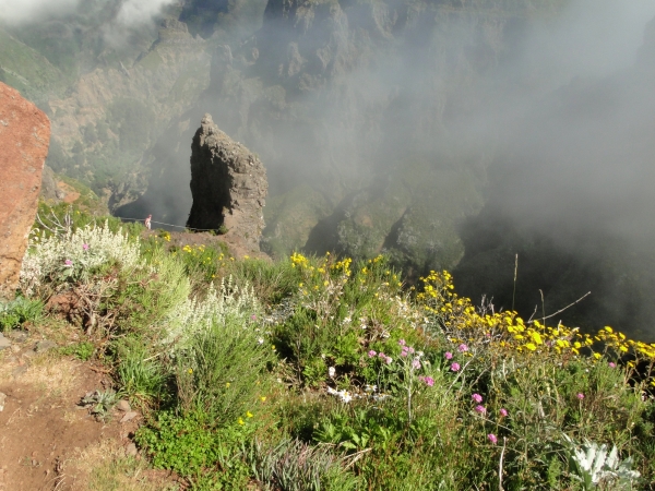 Zdjęcie z Portugalii - Trekking po szczytach Madery