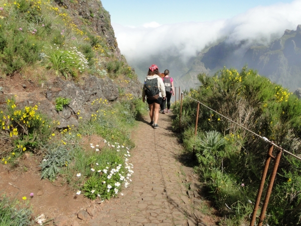 Zdjęcie z Portugalii - Trekking po szczytach Madery