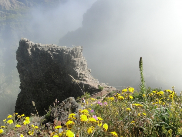 Zdjęcie z Portugalii - Trekking po szczytach Madery