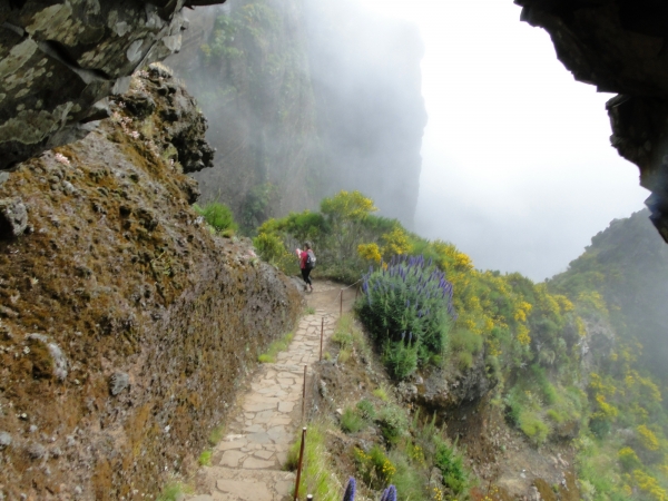 Zdjęcie z Portugalii - Trekking po szczytach Madery