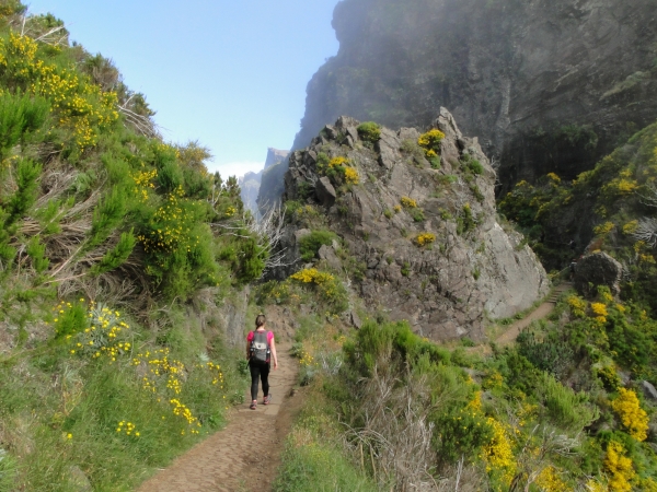 Zdjęcie z Portugalii - Trekking po szczytach Madery