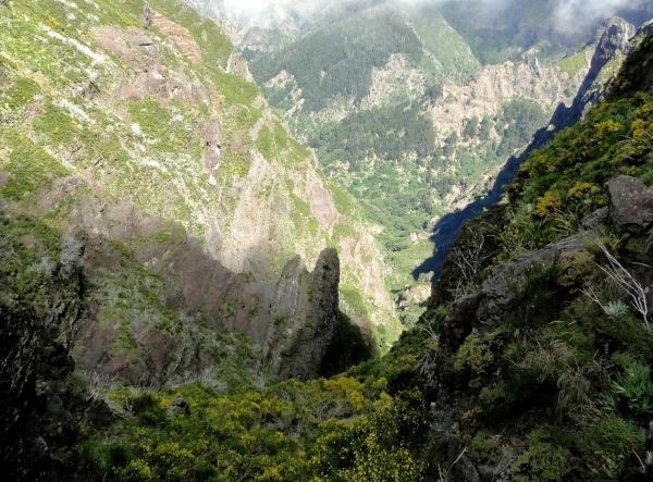 Zdjęcie z Portugalii - Trekking po szczytach Madery