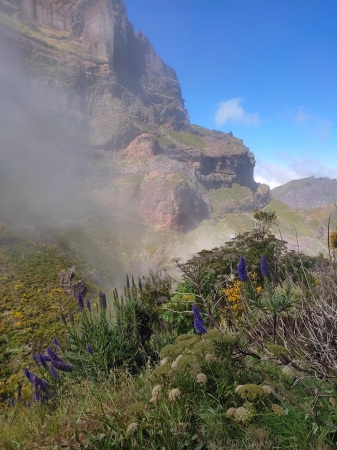 Zdjęcie z Portugalii - Trekking po szczytach Madery