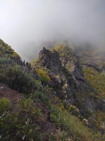 Zdjęcie z Portugalii - Trekking po szczytach Madery