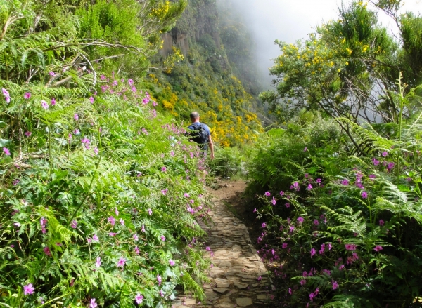 Zdjęcie z Portugalii - Trekking po szczytach Madery