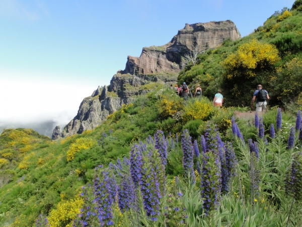 Zdjęcie z Portugalii - Trekking po szczytach Madery