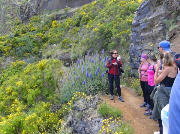 Zdjęcie z Portugalii - Trekking po szczytach Madery
