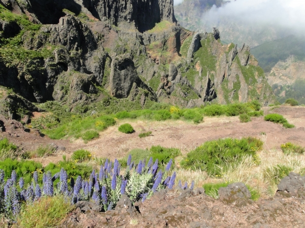 Zdjęcie z Portugalii - Trekking po szczytach Madery