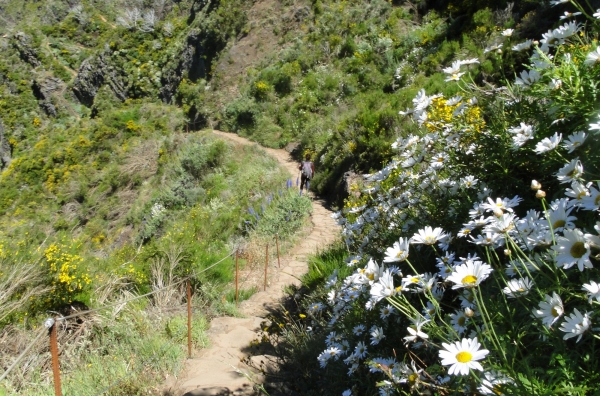 Zdjęcie z Portugalii - Trekking po szczytach Madery
