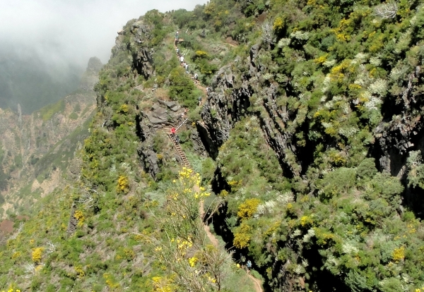 Zdjęcie z Portugalii - Trekking po szczytach Madery