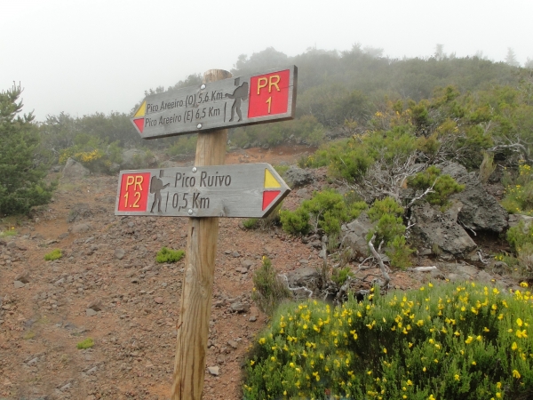 Zdjęcie z Portugalii - Trekking po szczytach Madery